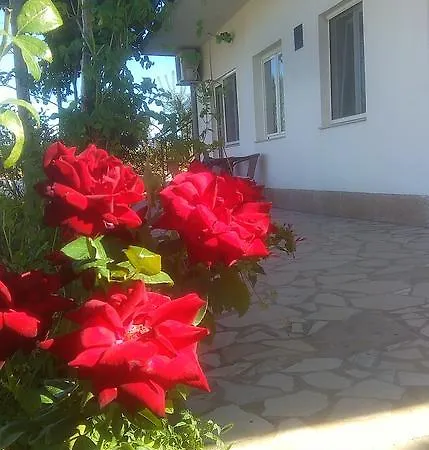 Apartments Nena Lozovac Exterior foto